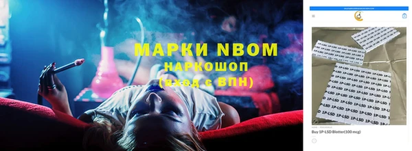 стафф Абинск